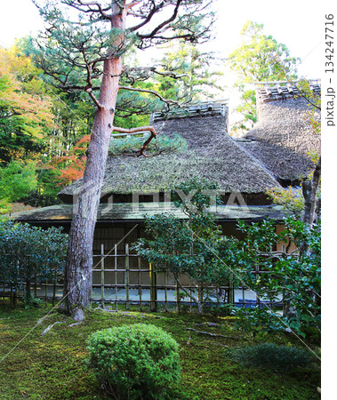 吉城園 紅葉 奈良県 吉城園 紅葉 奈良県 134247716