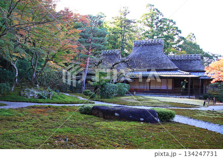 吉城園　紅葉　奈良県 134247731