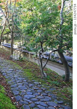 吉城園 紅葉 奈良県 吉城園 紅葉 奈良県 134247734