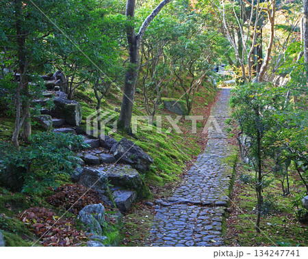 吉城園 紅葉 奈良県 吉城園 紅葉 奈良県 134247741