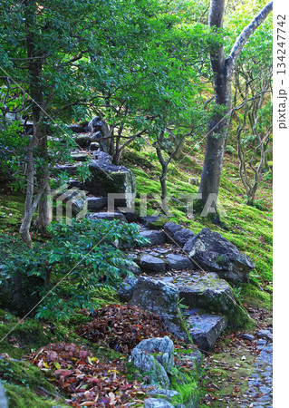 吉城園 紅葉 奈良県 吉城園 紅葉 奈良県 134247742