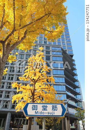 御堂筋の銀杏並木の紅葉と淀屋橋ゲートタワー 134247751