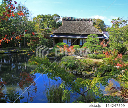 依水園 紅葉 奈良県 奈良公園 依水園 紅葉 奈良県 奈良公園 134247899