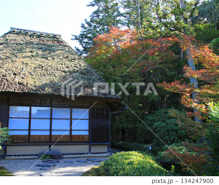 依水園 紅葉 奈良県 奈良公園 依水園 紅葉 奈良県 奈良公園 134247900