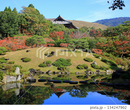 依水園 紅葉 奈良県 奈良公園 依水園 紅葉 奈良県 奈良公園 134247902