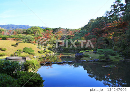 依水園 紅葉 奈良県 奈良公園 依水園 紅葉 奈良県 奈良公園 134247903