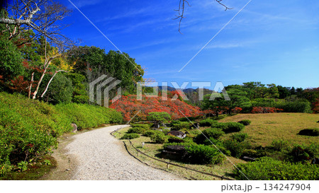 依水園　紅葉　奈良県　奈良公園 134247904