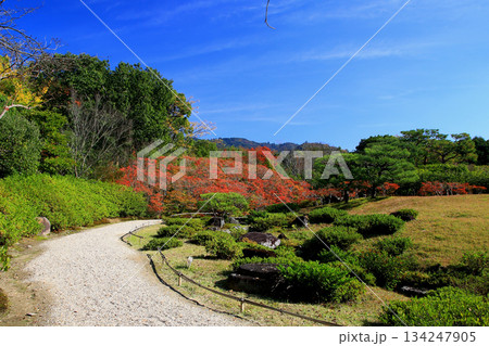 依水園 紅葉 奈良県 奈良公園 依水園 紅葉 奈良県 奈良公園 134247905