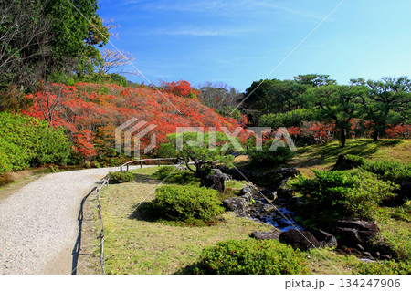 依水園　紅葉　奈良県　奈良公園 134247906