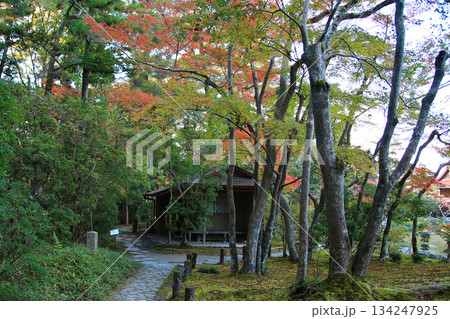 依水園　紅葉　奈良県　奈良公園 134247925