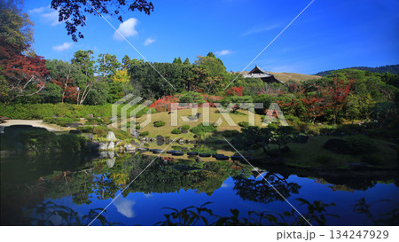 依水園　紅葉　奈良県　奈良公園 134247929