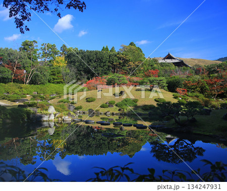 依水園　紅葉　奈良県　奈良公園 134247931