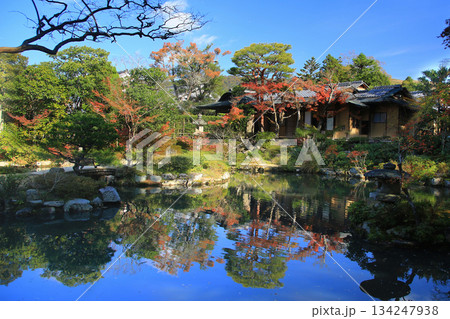 依水園　紅葉　奈良県　奈良公園 134247938