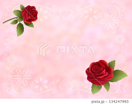 バラの背景　B-2 134247993