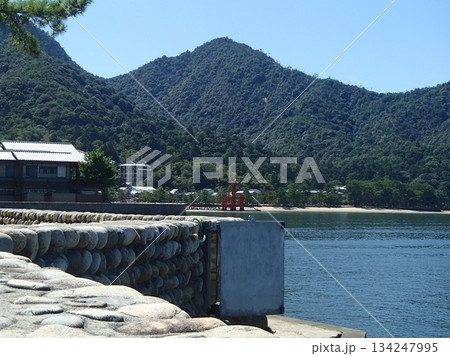 遠くから見た大鳥居 134247995