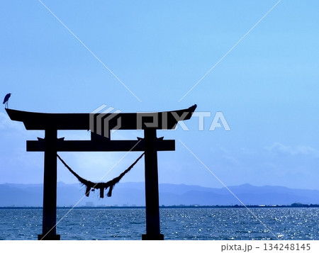 青い空、海辺の鳥居で羽を休める2羽の鳥 青い空、海辺の鳥居で羽を休める2羽の鳥 134248145