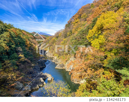 高津戸峡の紅葉　高津戸橋からの眺め 134248173