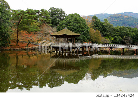 浮御堂 奈良公園 紅葉 浮御堂 奈良公園 紅葉 134248424