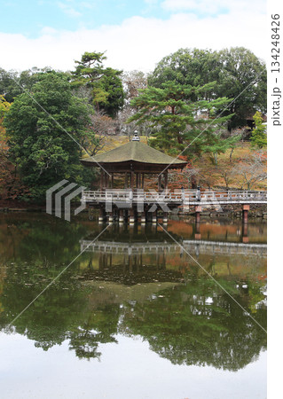 浮御堂　奈良公園　紅葉 134248426