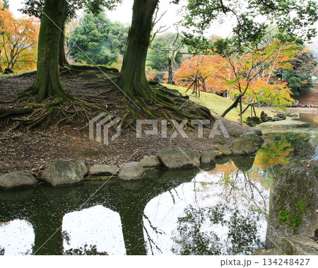 浮御堂　奈良公園　紅葉 134248427