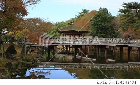 浮御堂　奈良公園　紅葉 134248431