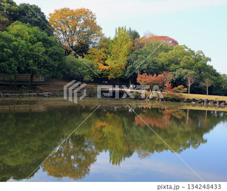 浮御堂 奈良公園 紅葉 浮御堂 奈良公園 紅葉 134248433