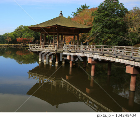 浮御堂 奈良公園 紅葉 浮御堂 奈良公園 紅葉 134248434