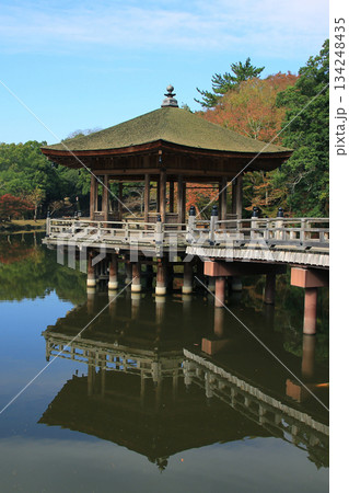 浮御堂 奈良公園 紅葉 浮御堂 奈良公園 紅葉 134248435