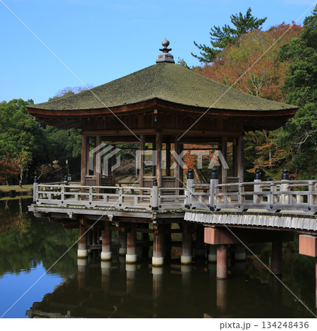 浮御堂　奈良公園　紅葉 134248436