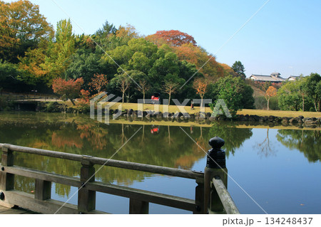 浮御堂　奈良公園　紅葉 134248437