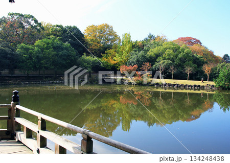 浮御堂　奈良公園　紅葉 134248438