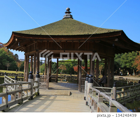 浮御堂　奈良公園　紅葉 134248439