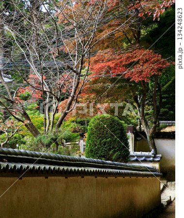 書写山円教寺　紅葉　兵庫県 134248623