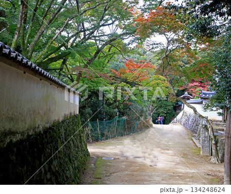 書写山円教寺　紅葉　兵庫県 134248624