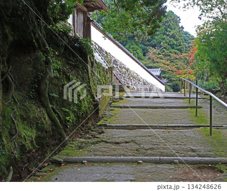 書写山円教寺　紅葉　兵庫県 134248626