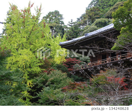 書写山円教寺　紅葉　兵庫県 134248628