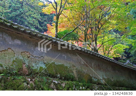 書写山円教寺　紅葉　兵庫県 134248630