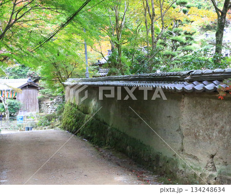 書写山円教寺　紅葉　兵庫県 134248634