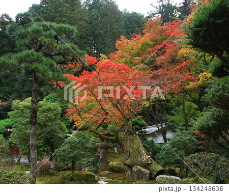 書写山円教寺 紅葉 兵庫県 書写山円教寺 紅葉 兵庫県 134248636