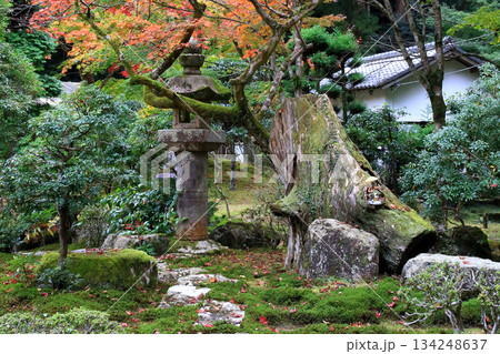 書写山円教寺　紅葉　兵庫県 134248637
