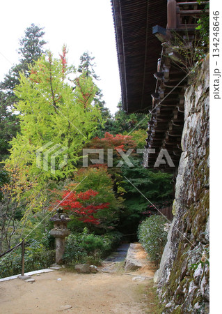 書写山円教寺　紅葉　兵庫県 134248646