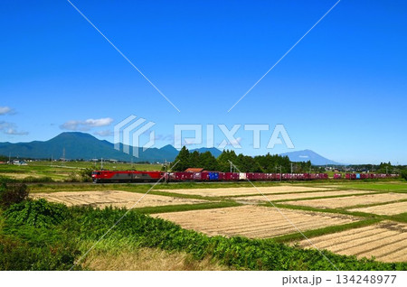 東北本線を走る列車 134248977