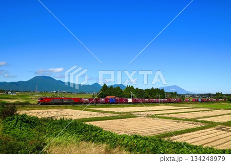 東北本線を走る列車 134248979