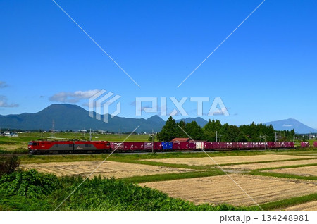 東北本線を走る列車 東北本線を走る列車 134248981