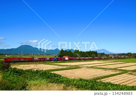 東北本線を走る列車 134248983