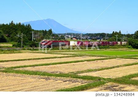 東北本線を走る列車 134248984
