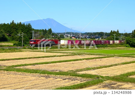 東北本線を走る列車 134248986