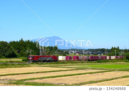 東北本線を走る列車 134248988