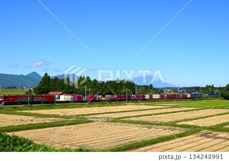 東北本線を走る列車 134248991