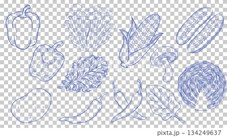 手描き野菜のラインアートセット オーガニックフード イラスト素材 134249637